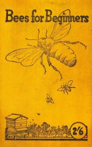 bees for beginners