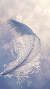 feather