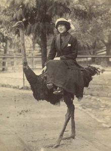 ostrich cab