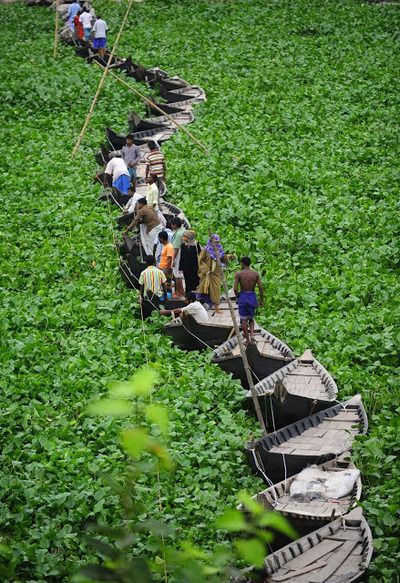 Bangladesh Boat Bridge