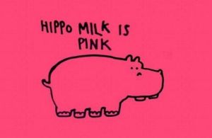 Hippo Trivia