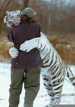 tiger hug