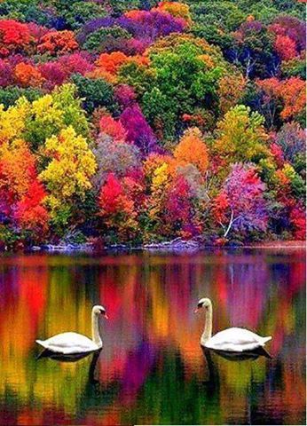 autumn in new hampshire