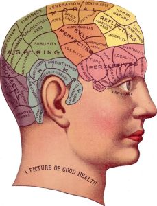 Vintage Phrenology: thegraphicsfairy.com 