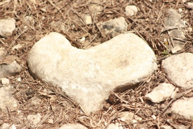 heart-stone