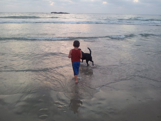 1025350_10151573815968406_730796465_o