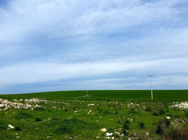 orly-fuchs-galchen-dalia-feb2017