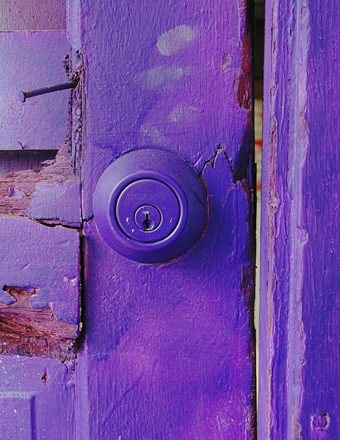 What lies beyond-DarwinBell