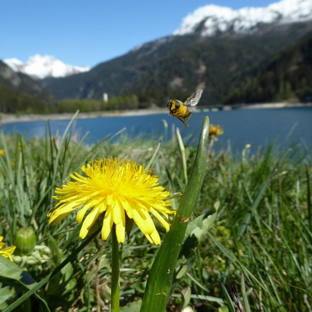 Atara Katz - a moment in time