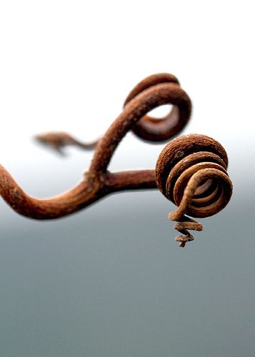 from wakingtimes.com