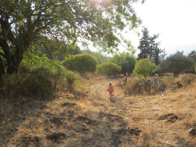 10668763_10152350548116304_6761313813944716448_o