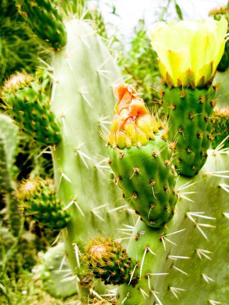 904913_10200416705312966_11255660_o