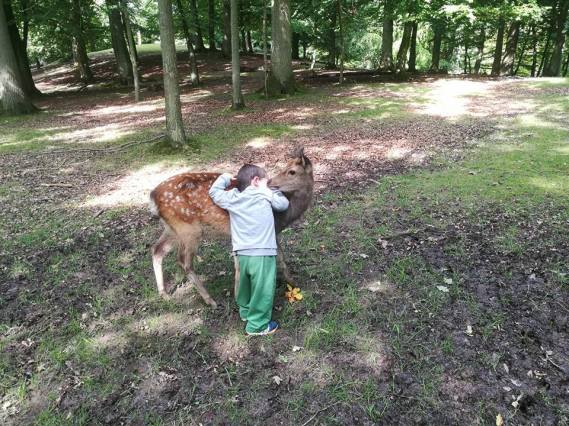 Deer hug SmadarHaplerinEpshtein