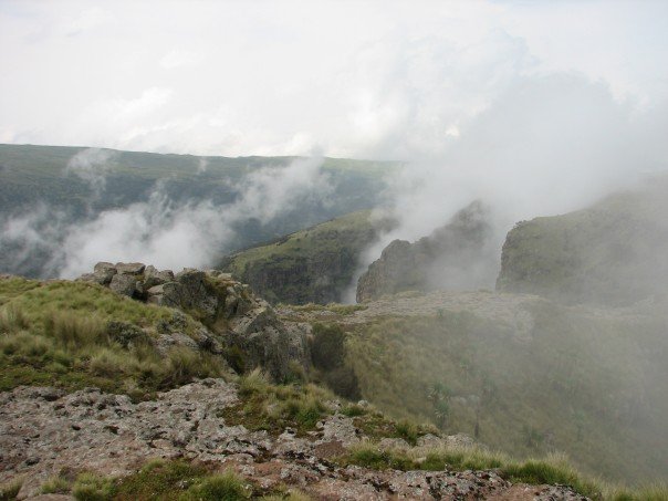 Ethiopia mist DvoraFreedman