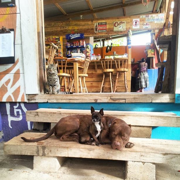 Guatemala Duo InbarAsif