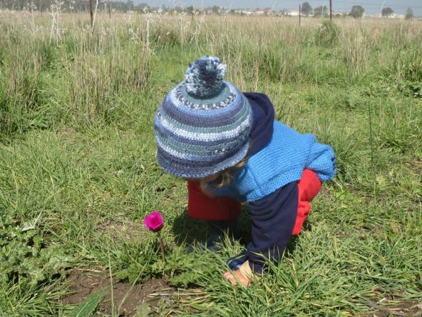 Focus OsnatHalperinBarlev