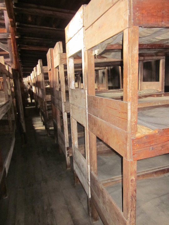 never again9 OfirAsif