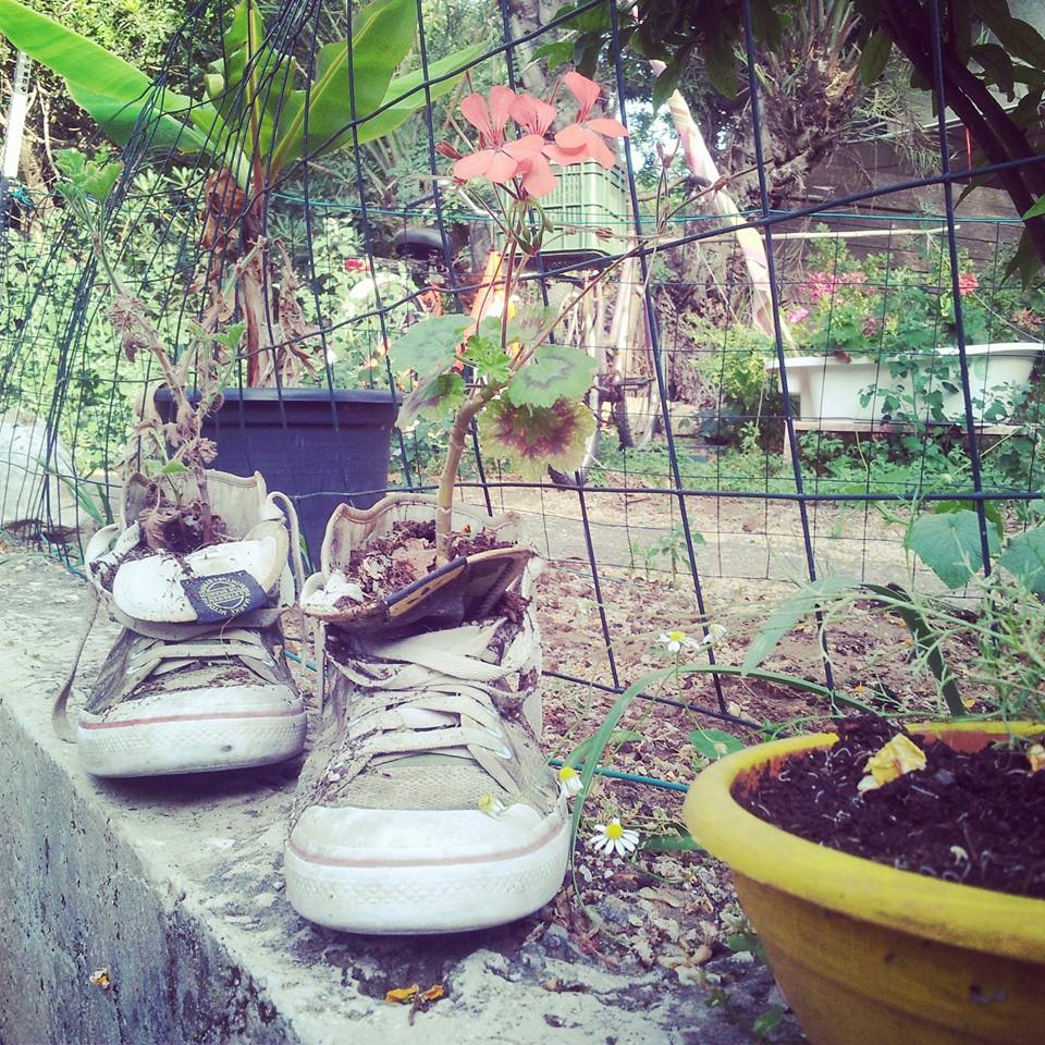 Second life DvoraFreedman