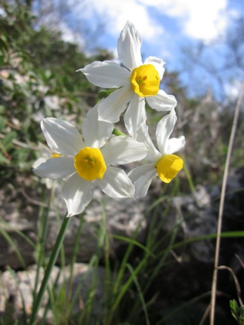 181518_1759638383526_5430078_n