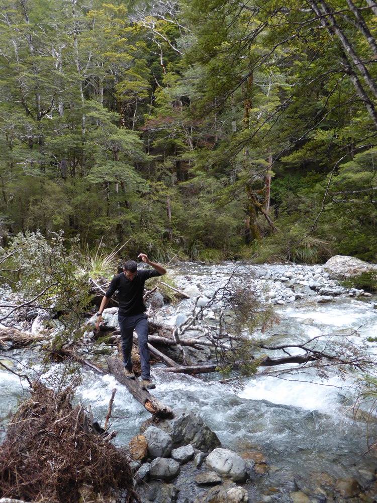 Balancing Act AtaraKatz