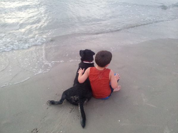 solace SmadarHalperinEpshtein