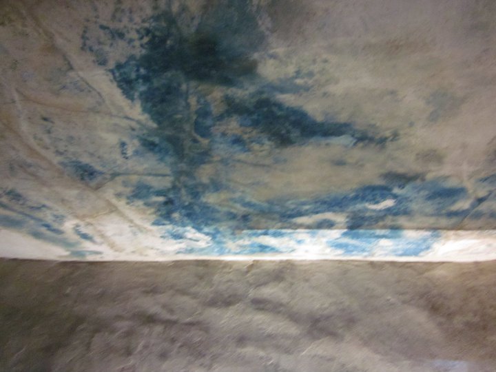 Never again7 OfirAsif