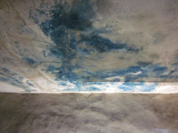 Never again7 OfirAsif