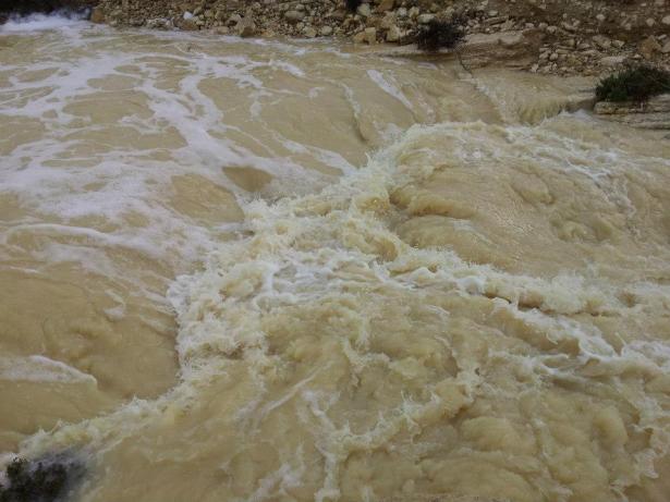 flash flood OfirAsif