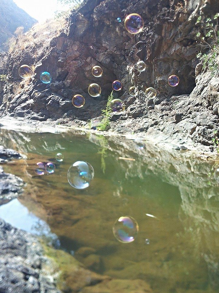 bubbles AK