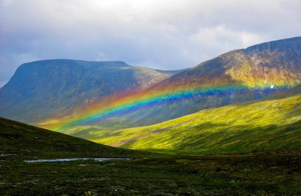 Rainbow Norway AmitaiAsif
