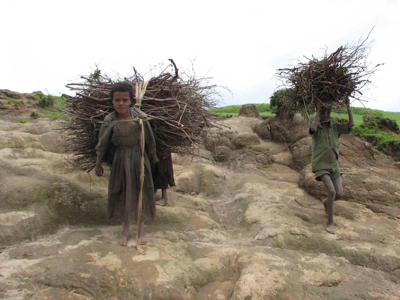 Ethiopia6 DvoraFreedman