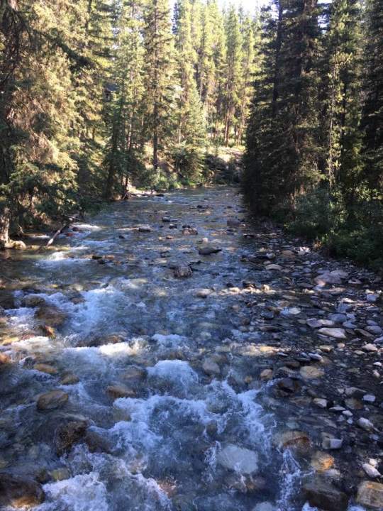 CanadianRockies EddyKoren3