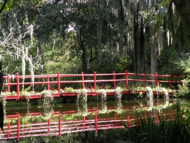 Pond bridge NaamaYehuda