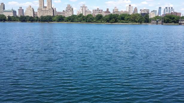 Central Park Reservior NaamaYehuda