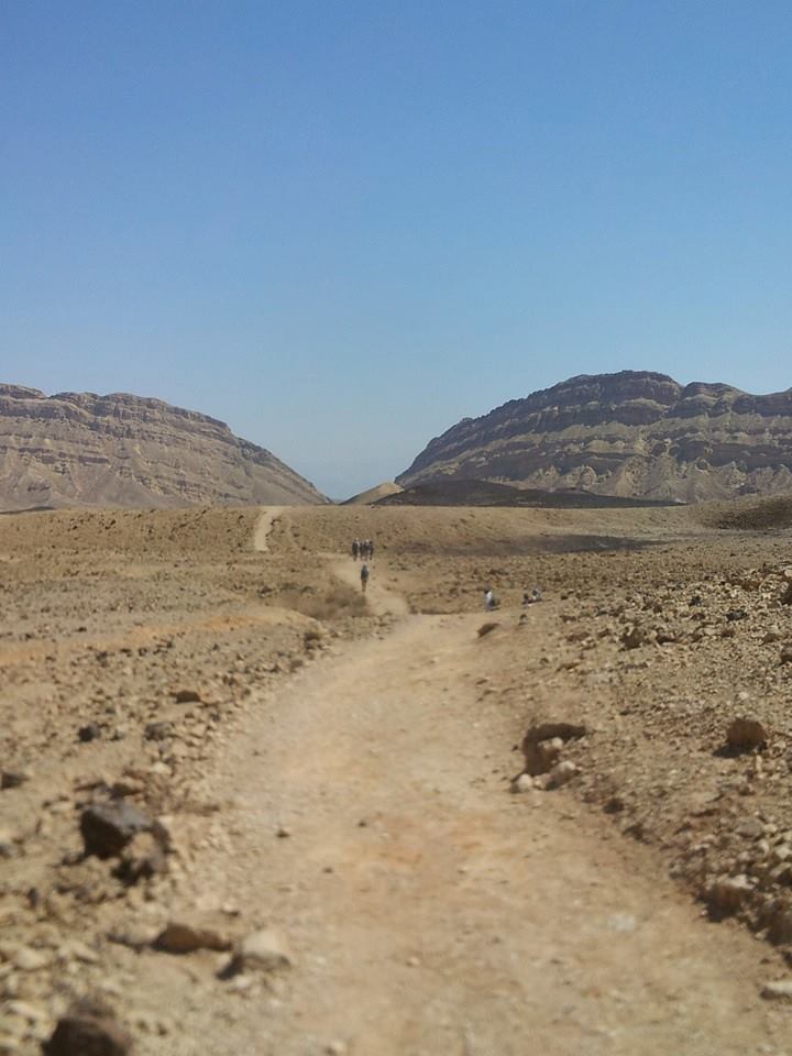 desert walk AmitaiAsif