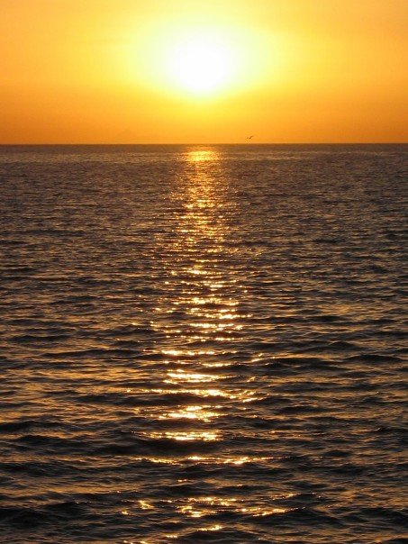 light on the water OsnatHalperinBarlev