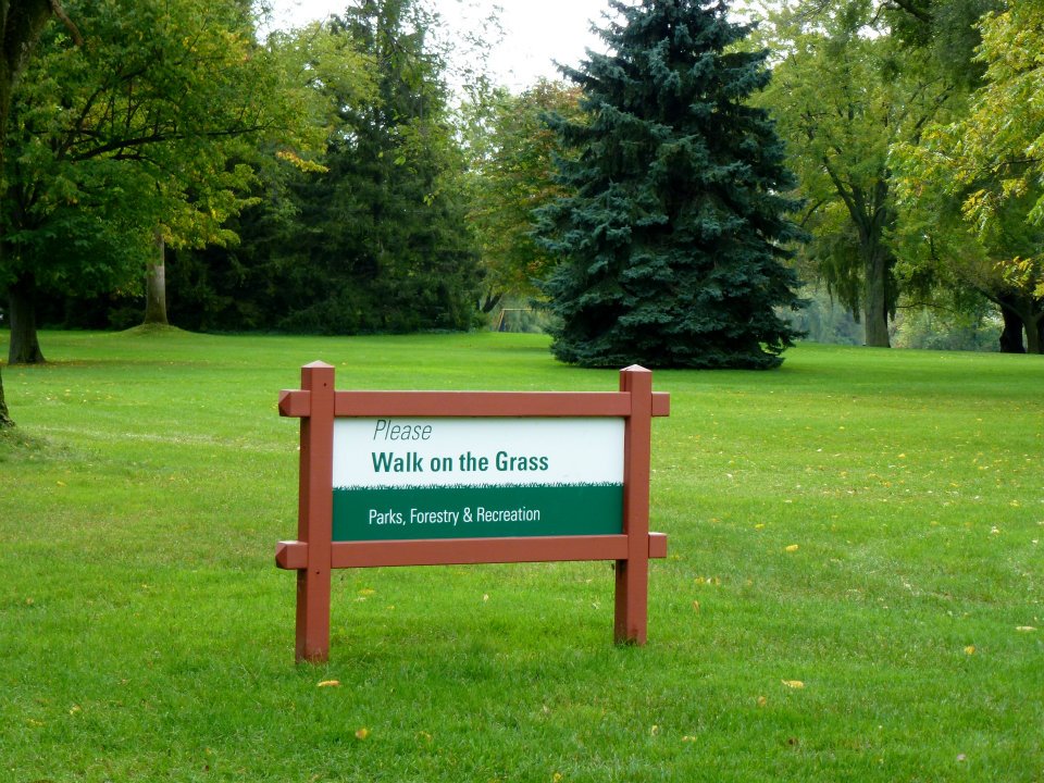 Canadian invitation SmadarHalperinEpshtein