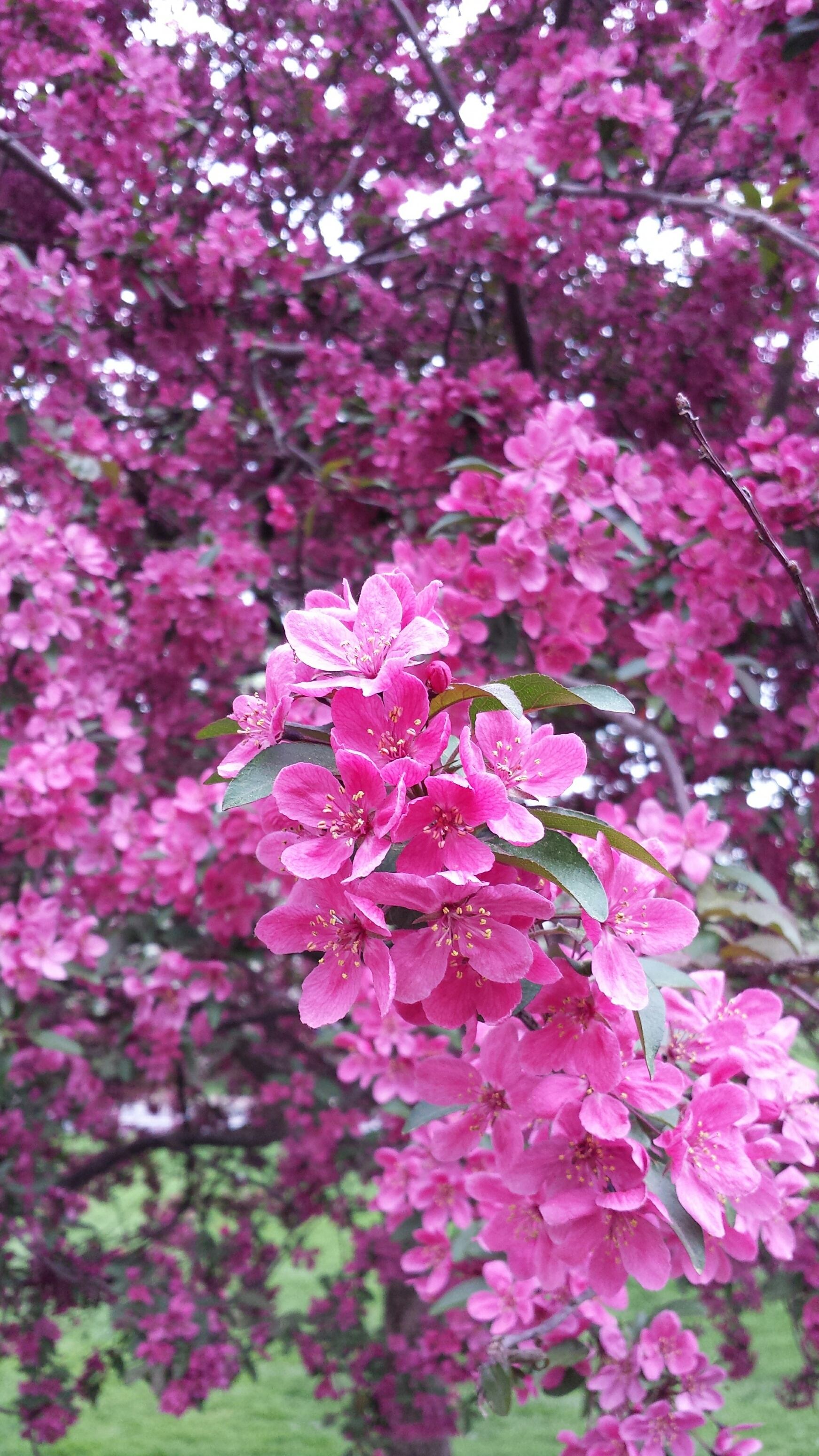 May NYC1 NaamaYehuda