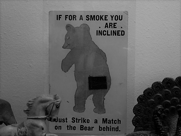 Not smokey bear SmadarHalperinEpshtein (2)