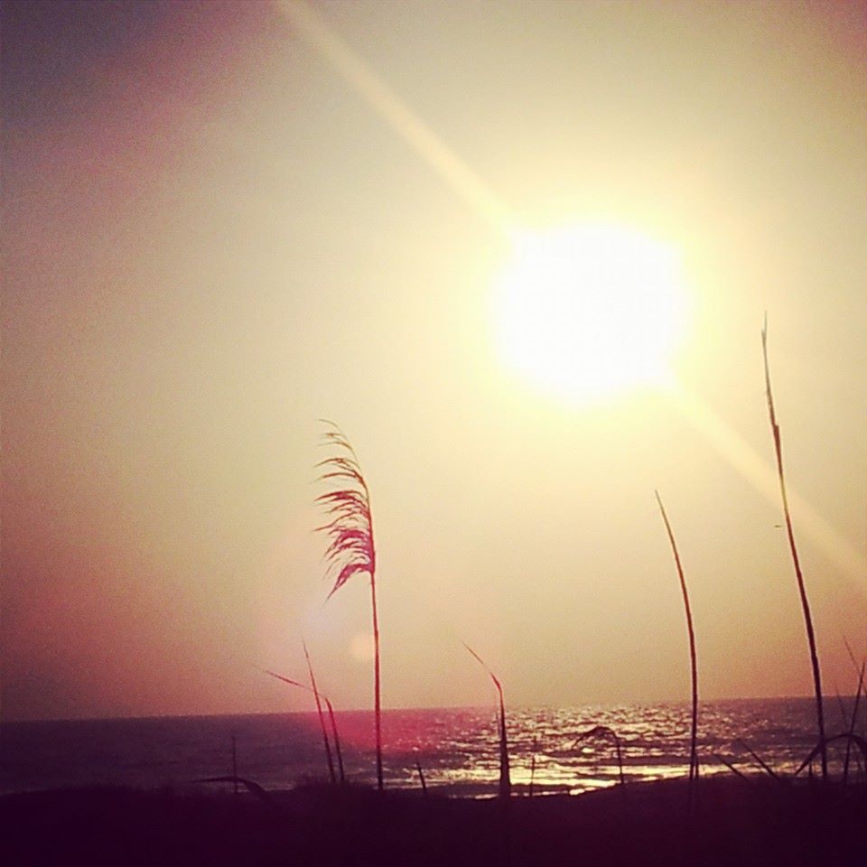 SummerHaze DvoraFreedman