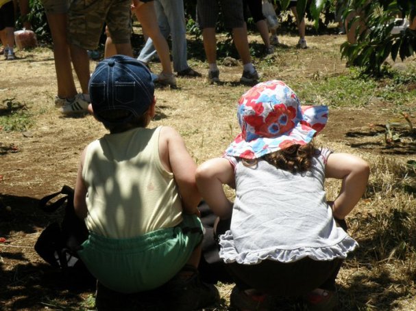 audience SmadarHalperinEpshtein