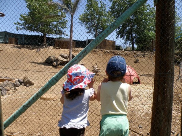 audience1 SmadarHalperinEpshtein