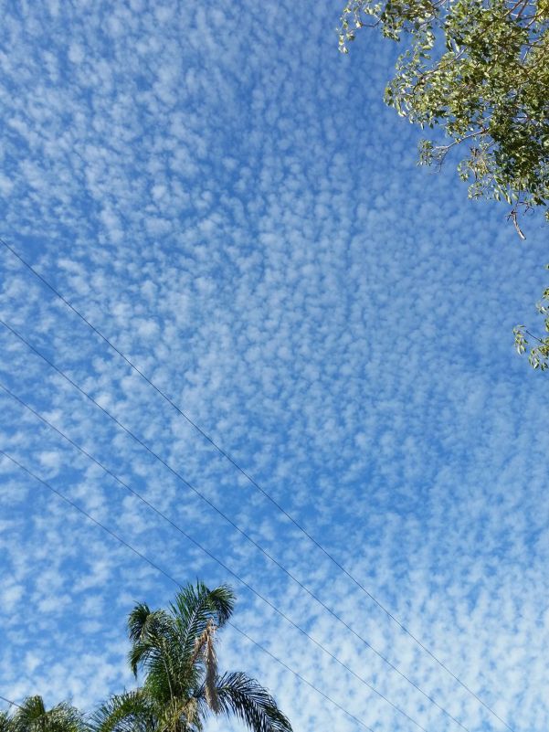 fleece sky OrlyFuchsGalchen