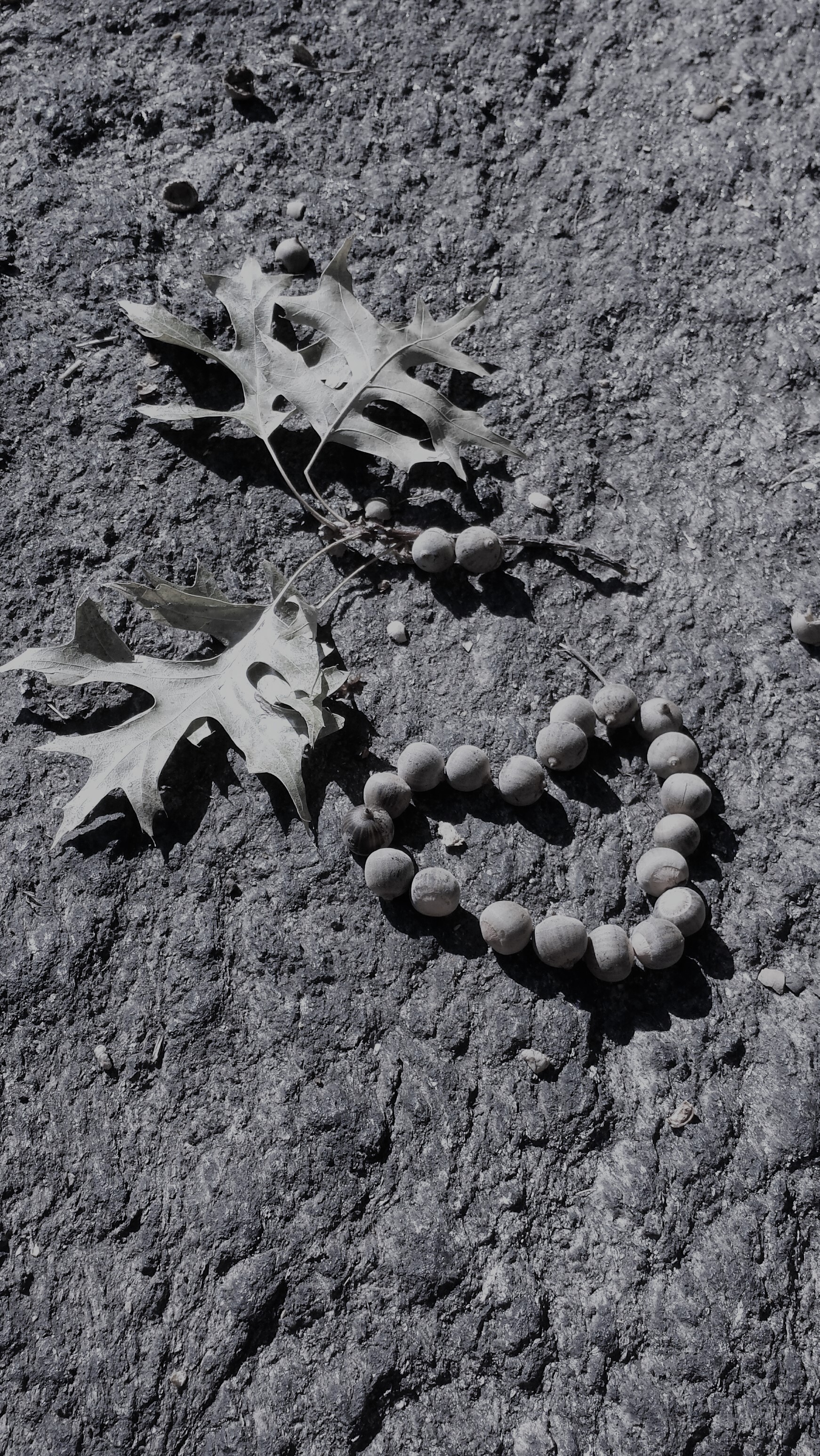 heartened NaamaYehuda