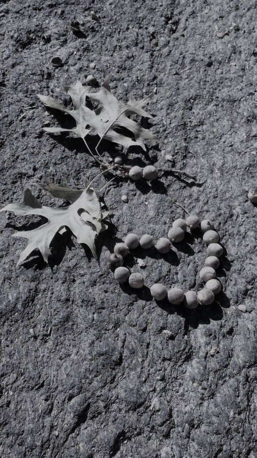 heartened NaamaYehuda