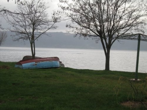 boats trees SmadarHalperinEpshtein