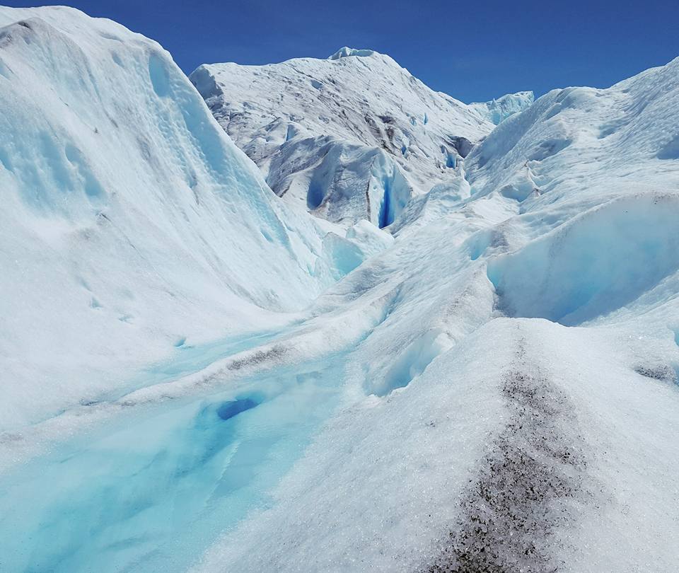 freeze flow InbarAsif