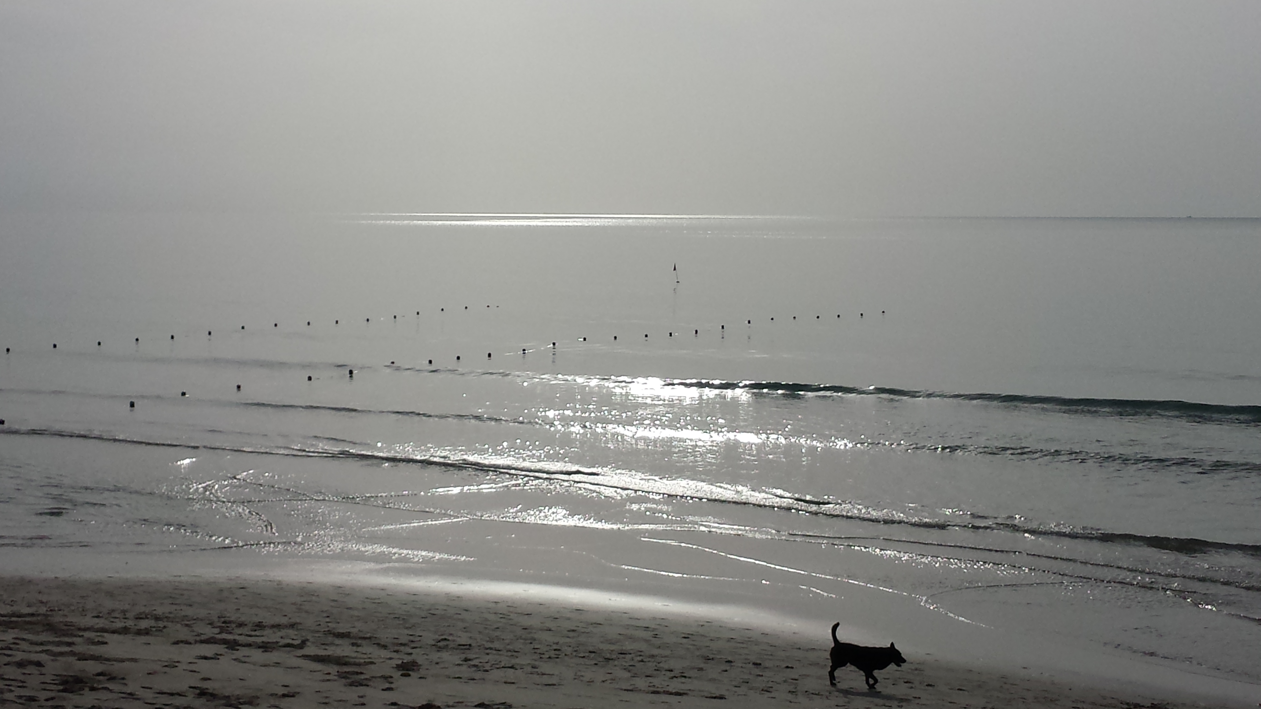 High-tail NaamaYehuda