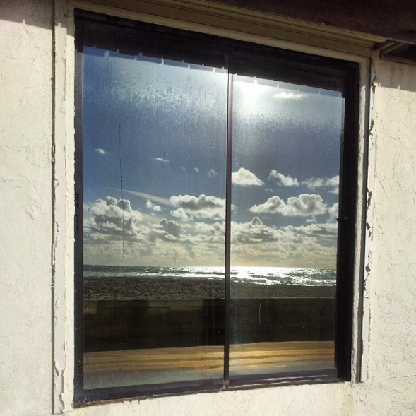 Reflection InbarAsif