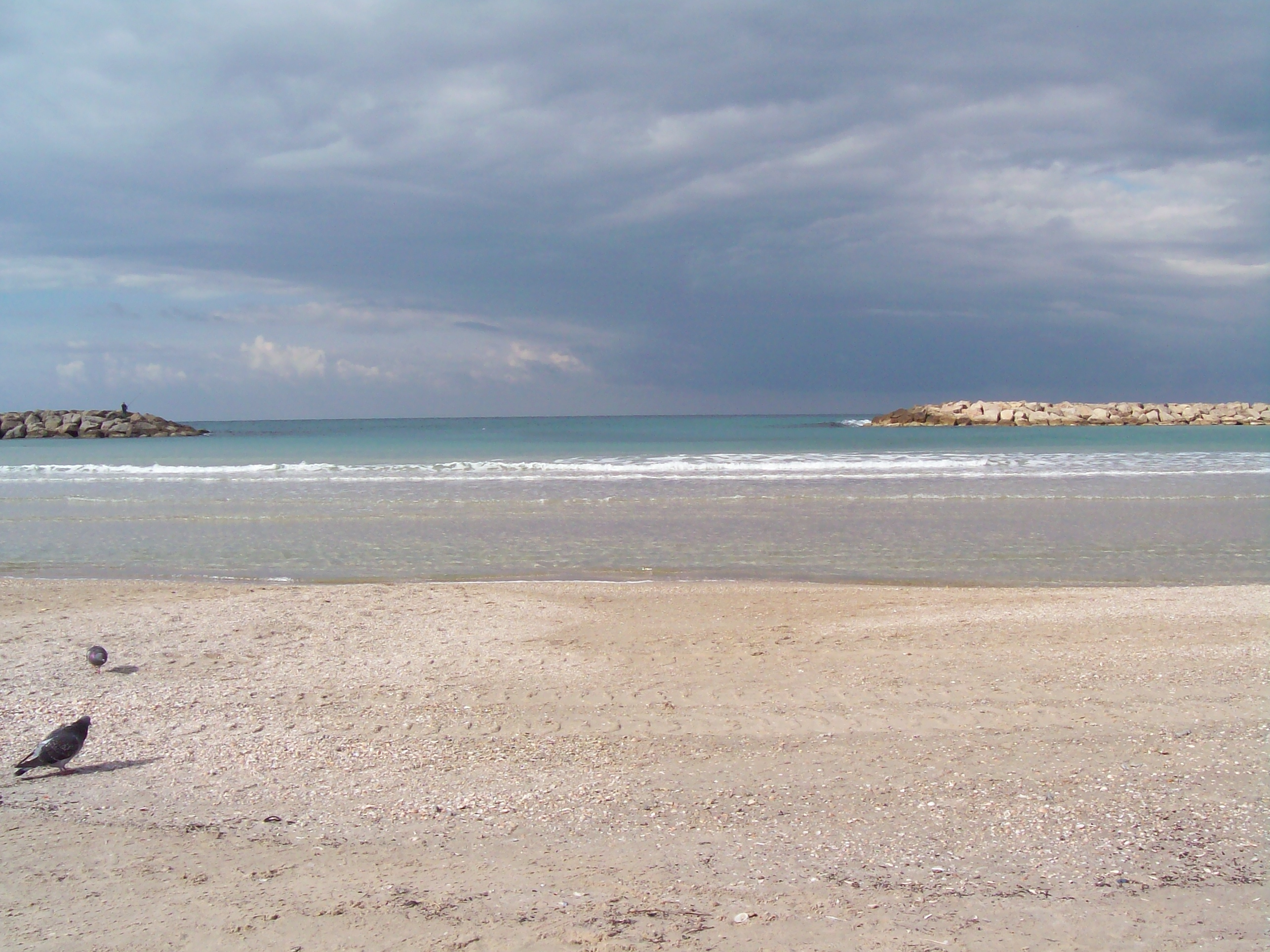 Ebb and Flow NaamaYehuda